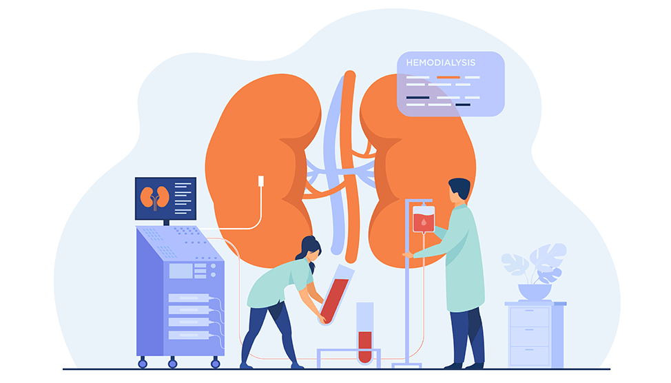 mpshahhosp_kidneys-2